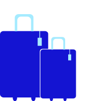 Free first and second checked bags icon